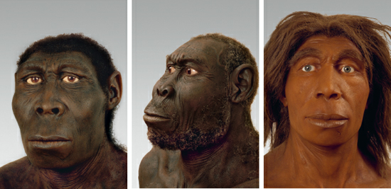 Our siblings, according to speculative reconstructions (left to right): Homo rudolfensis (East Africa); Homo erectus (East Asia); and Homo neanderthalensis (Europe and western Asia). All are humans.